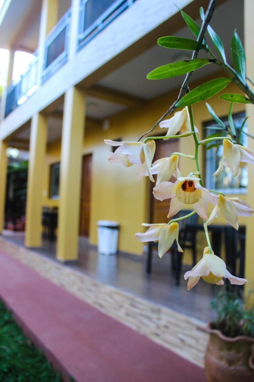 Hospedaje Jose Gorgues Puerto Iguazú Zewnętrze zdjęcie